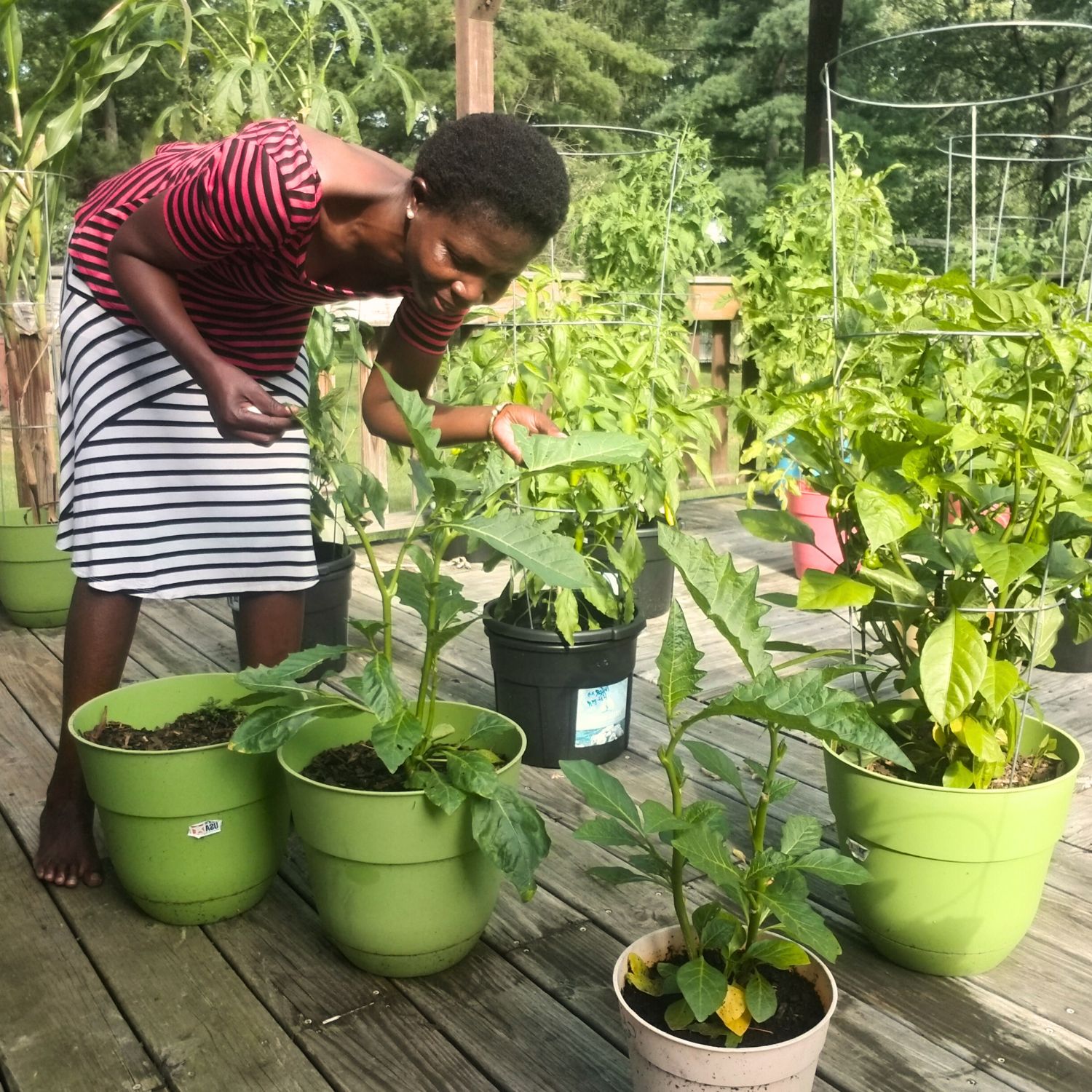 Bend down half way outside in my vegetable garden barefooted on a deck on a deck
